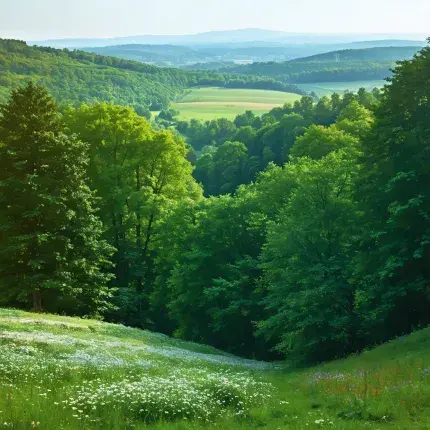 Priroda Fruške Gore: Slikovite Lepote Vojvodine